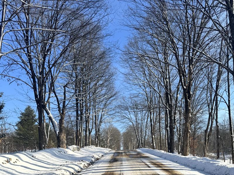 Camden Woodlands with Trail Access : Camden : Oneida County : New York