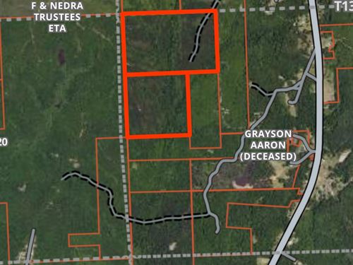 Great Hunting and Timber Investment : Dixons Mills : Marengo County : Alabama