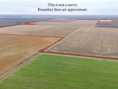 White County, AR Cotton, Rice & Soy : Griffithville : White County : Arkansas