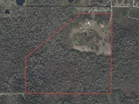 120 Acres Near New Turnpike Lake Co : Astatula : Lake County : Florida