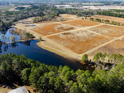 Worthington Farm : Claxton : Evans County : Georgia