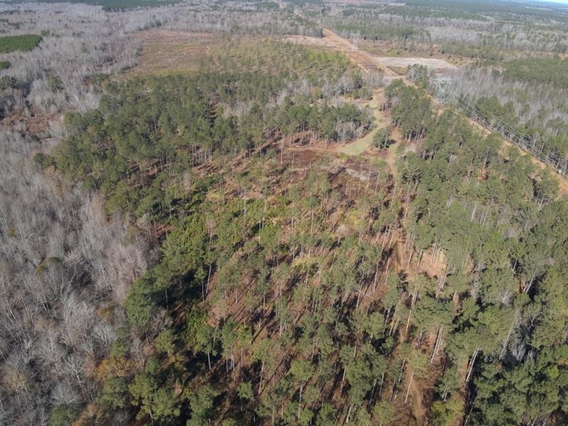 The Kitchings Place : Sandersville : Washington County : Georgia