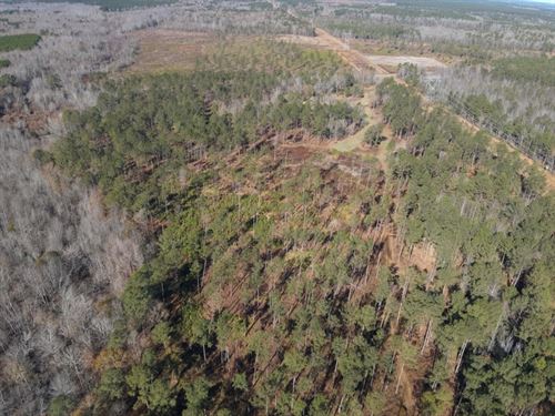 The Kitchings Place : Sandersville : Washington County : Georgia