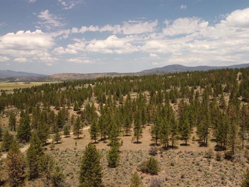 1.49 Acres 5 Min From River Fishing : Beatty : Klamath County : Oregon