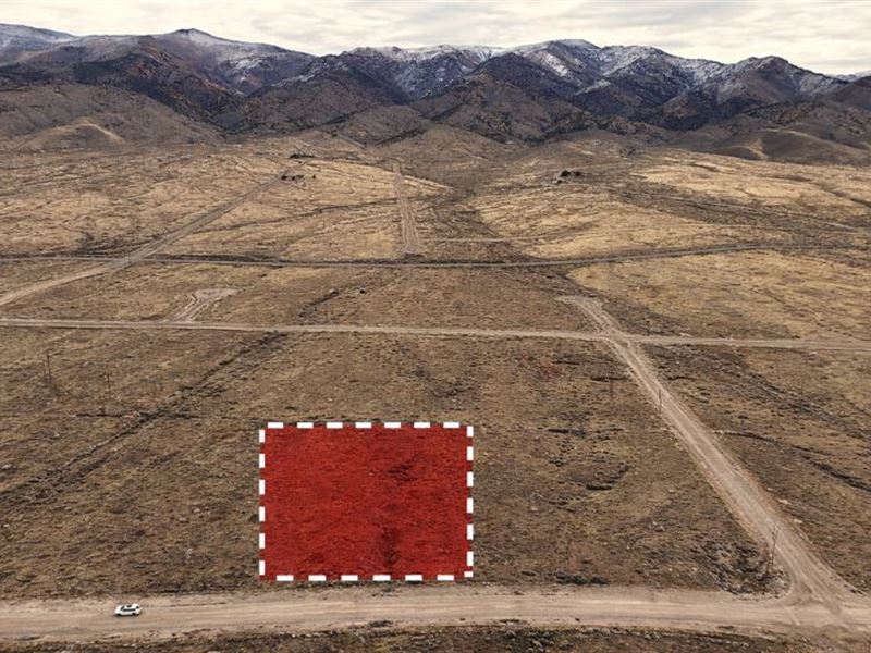 Dessert Property with Mountain View : Lovelock : Pershing County : Nevada