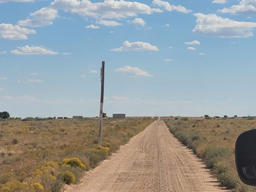 Affordable Land Near I-25 & Us-60 : Las Nutrias : Socorro County : New Mexico