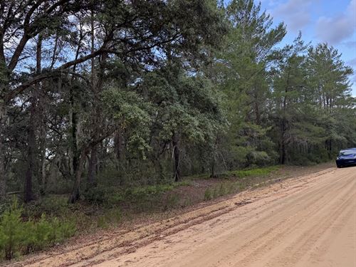 Build-Ready Lot in Interlachen Lake : Interlachen : Putnam County : Florida