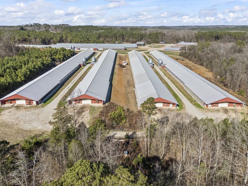 11 House Broiler Farm Lexington GA : Lexington : Oglethorpe County : Georgia