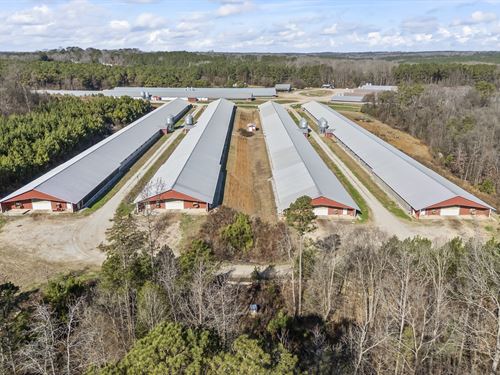 11 House Broiler Farm Lexington GA : Lexington : Oglethorpe County : Georgia