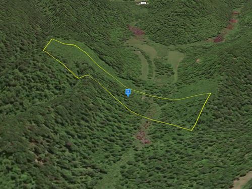 17 Acres in Fayette County WV : Hico : Fayette County : West Virginia
