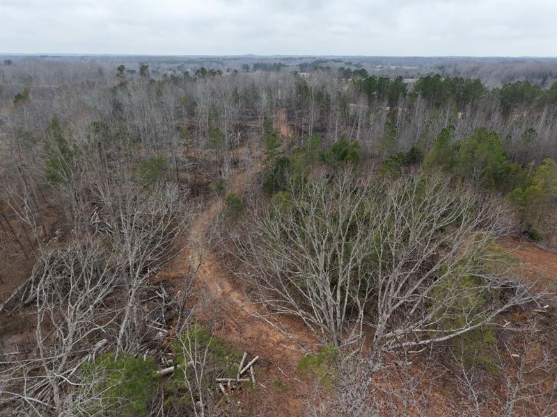 130.2 Acres in Henderson County, TN : Sardis : Henderson County : Tennessee