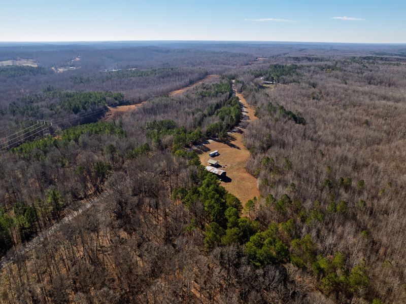 92 Acres, Tennessee Hunting Prope : Cedar Grove : Henderson County : Tennessee