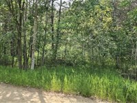 Just 1/4 Mile From Fawn Lake : Browerville : Todd County : Minnesota