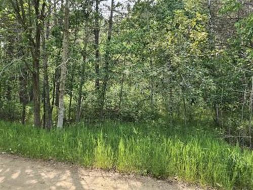 Just 1/4 Mile From Fawn Lake : Browerville : Todd County : Minnesota