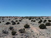 Peace Space and Freedom : Sanders : Apache County : Arizona