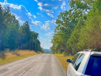 Between The Lake and The River : Horseshoe Bend : Izard County : Arkansas