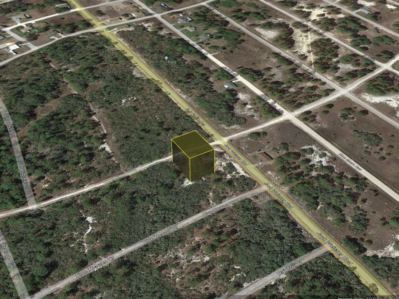 Sunshine State Oasis $249 Down : Lake Placid : Highlands County : Florida