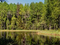 $6/Day to Own TX Land, Near Lake : Harleton : Harrison County : Texas