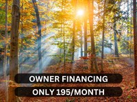 $6/Day to Own TX Land, Near Lake : Harleton : Harrison County : Texas