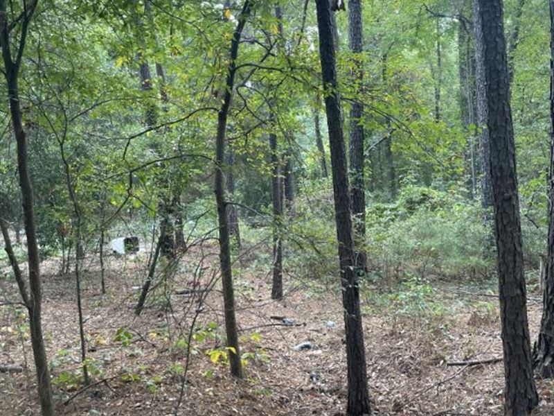 $6/Day to Own TX Land, Near Lake : Harleton : Harrison County : Texas