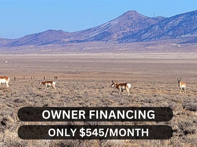 Your 40 Acre Dream in NV : Elko : Elko County : Nevada