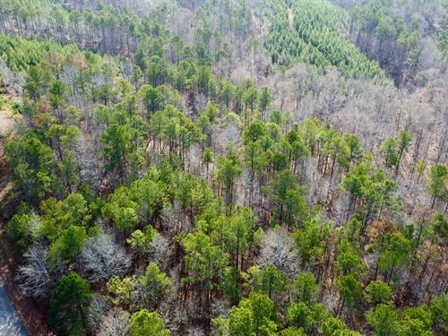 Turkey Pen Road Tract 5, 4.6 : Cragford : Clay County : Alabama