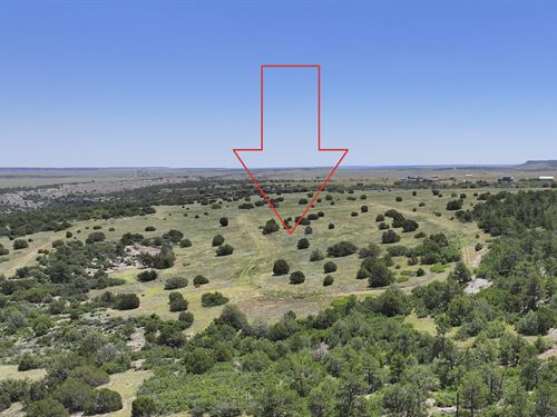 $76.51/Mo, Residential Lot : Colorado City : Pueblo County : Colorado