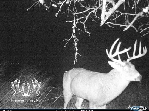 Ford County, Kansas 40 Acres M/L : Dodge City : Ford County : Kansas