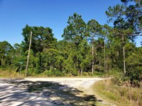 The Perfect Corner Lot $137/Mo : Georgetown : Putnam County : Florida