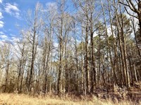 Residential Land for Sale : Saulsbury : Hardeman County : Tennessee