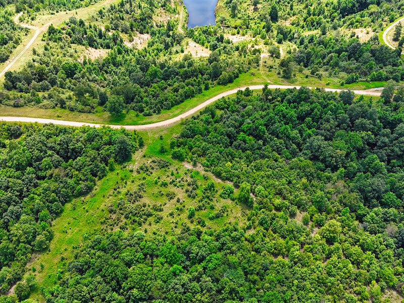 75.12 Acres of Tennessee Timberland : Stewart : Stewart County : Tennessee