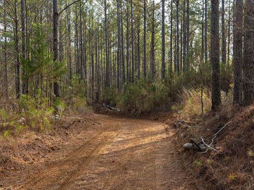 Land with Financing Available : Russellville : Colbert County : Alabama