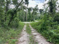 Build, Camp, or Stay Near The River : Live Oak : Suwannee County : Florida
