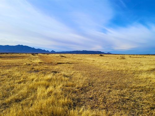 .50 Acres Luna County NM : Deming : Luna County : New Mexico