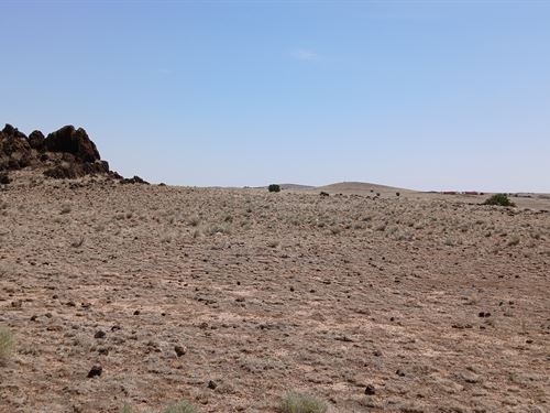 Future, Investment, Legacy : Concho : Apache County : Arizona