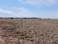 Future, Investment, Legacy : Concho : Apache County : Arizona