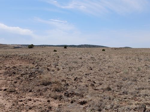 Future, Investment, Legacy : Concho : Apache County : Arizona