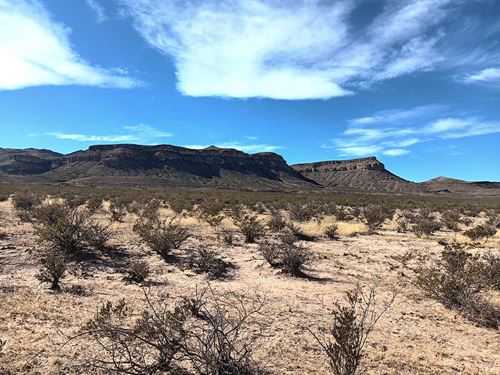 Buildable Flat Land Near El Paso TX : Texas City : Culberson County : Texas