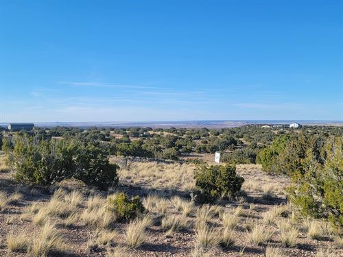Step Away From The City Noise : Concho : Apache County : Arizona