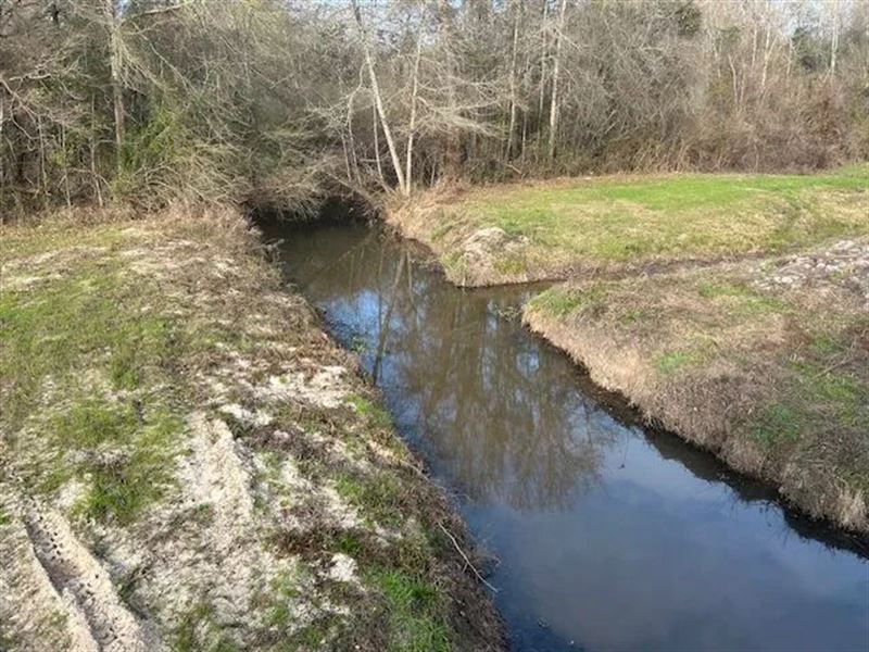 4 Acres-Irene Rd, Magnolia, MS : Magnolia : Pike County : Mississippi