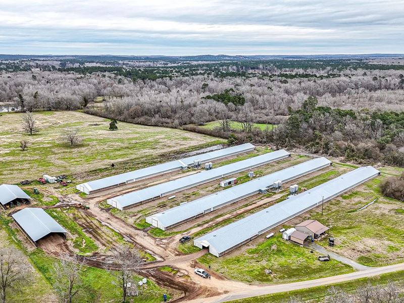 Bienville Broiler Farm : Gibsland : Bienville Parish : Louisiana