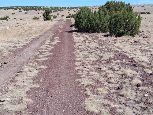 Off-Grid Lot Ideal for Solar Use : Concho : Apache County : Arizona