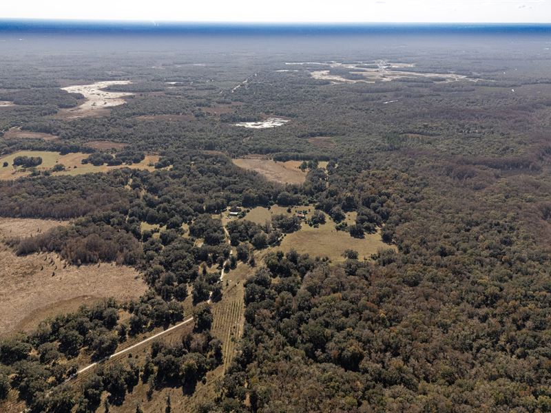 Citrus County Ranch & Rec Tract : Inverness : Citrus County : Florida