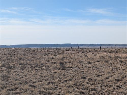 Arizona's Timeless Beauty : Petrified Forest Natl Pk : Apache County : Arizona
