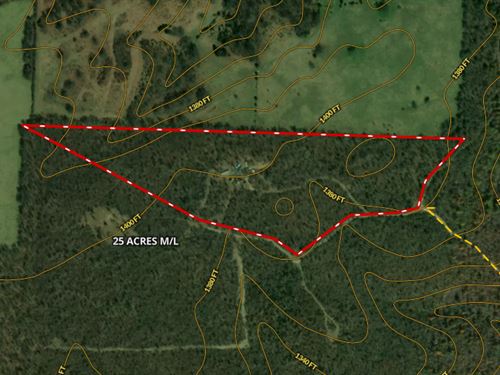 Wooded Acreage for Sale in Missouri : Hartville : Texas County : Missouri