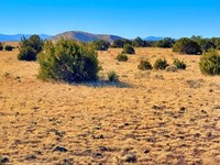 Balancing Access and Seclusion : Concho : Apache County : Arizona