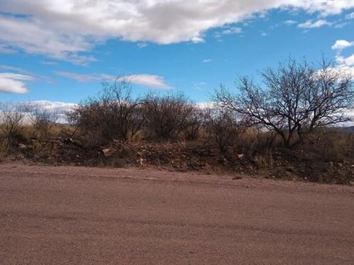 Everything You Need is Right Here : Rio Rico : Santa Cruz County : Arizona