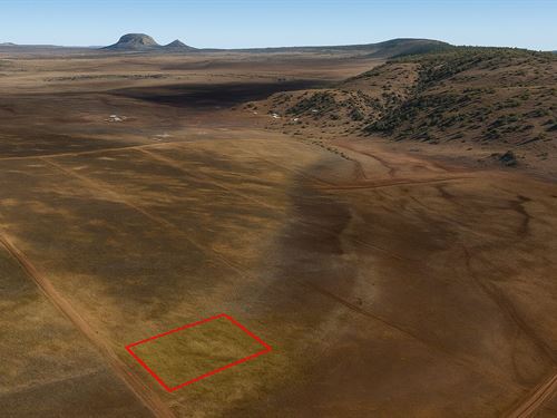 1 Acre Concho Area, $150/Mo : Concho : Apache County : Arizona