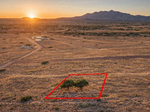 .34 Acre Owner Financing : Concho : Apache County : Arizona