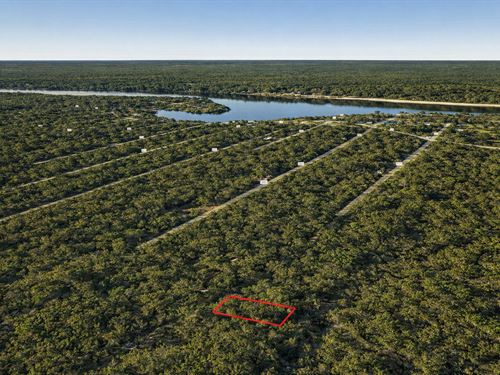 .12 Acre Wooded Retreat by Lake : Cleveland : Liberty County : Texas